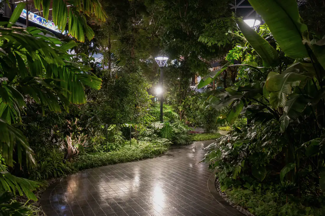 A lit garden path through dense planting at night