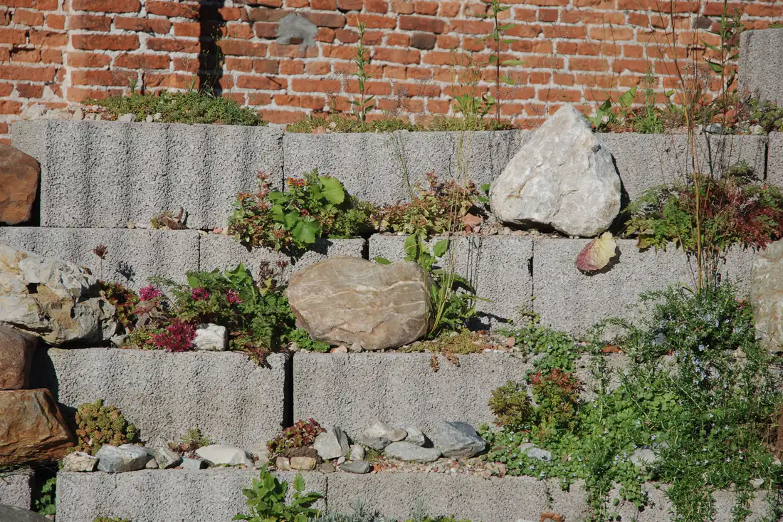 Stone terraces stepping up a planted slope