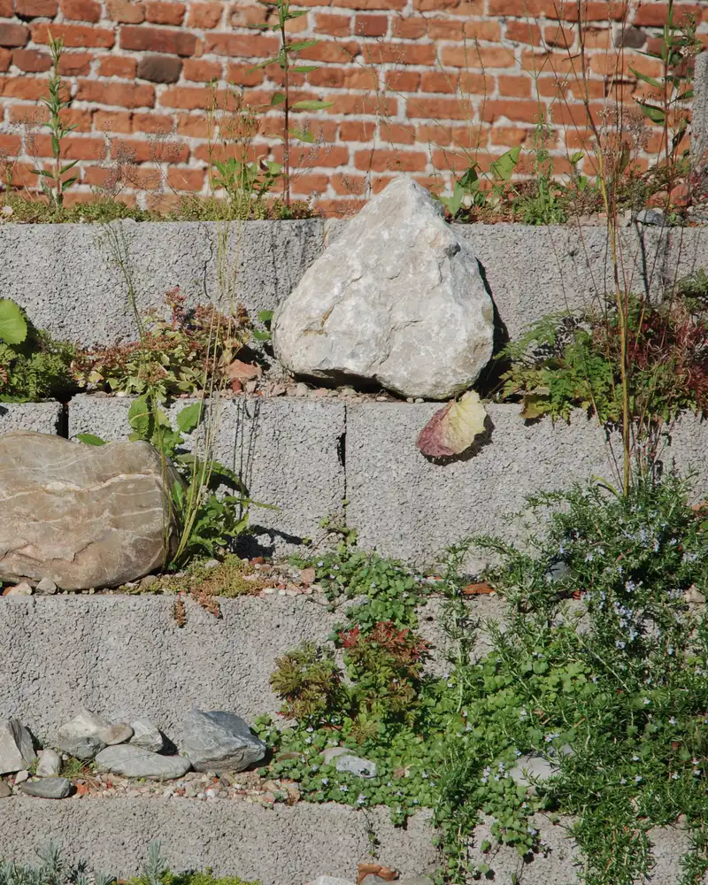 Stepped stone terraces planted with perennials against a brick wall