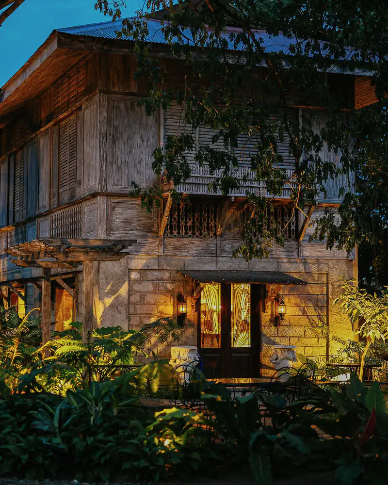 Large trees and planting uplit at night around a house